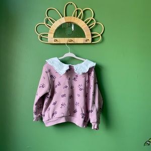 Adorable Peter Pan color sweater